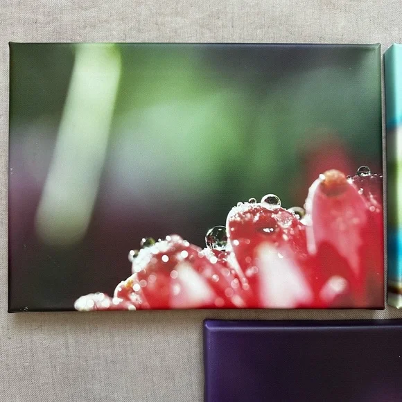 Set of 3 canvas prints | abstract flowers - Picture 5 of 6